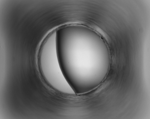 X0000092271124200709140859