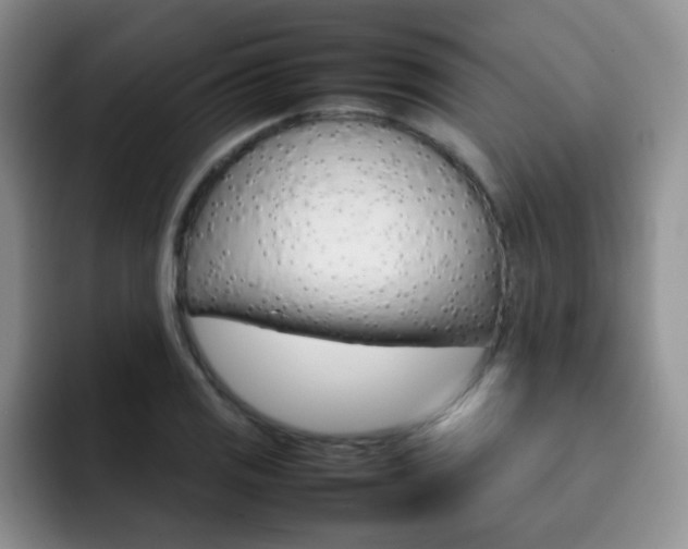 X0000092271125200709140859