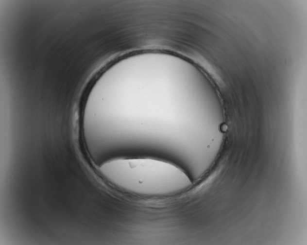 X0000092271126200709140859