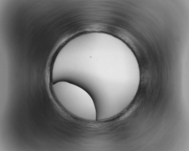 X0000092271130200709140859