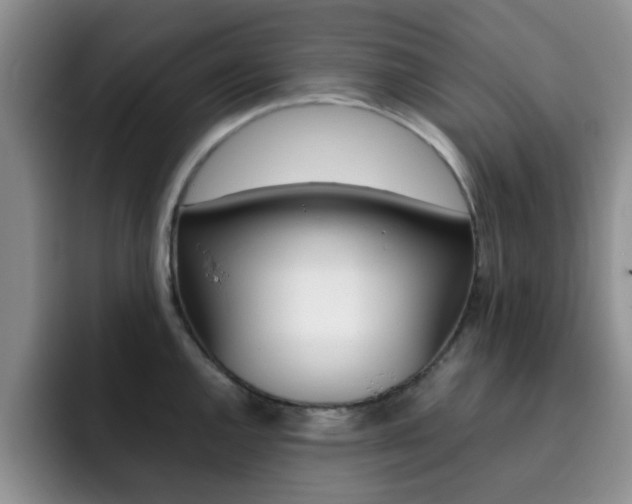 X0000092271144200709140900