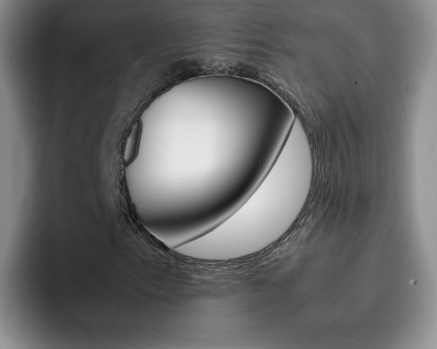 X0000092271153200709140859