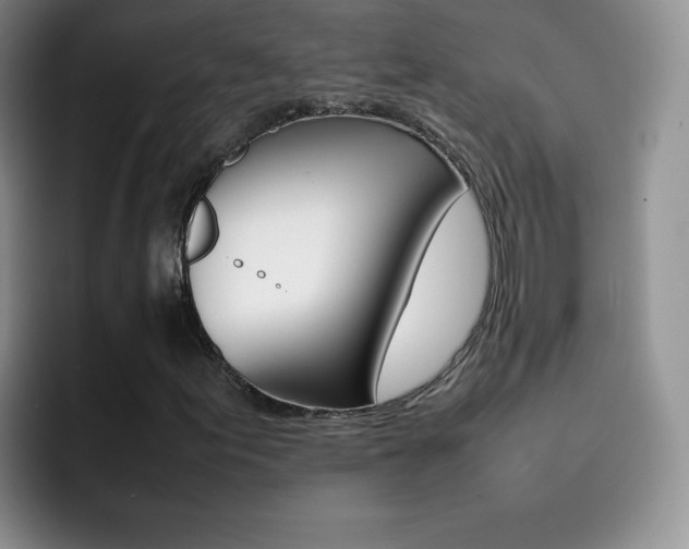 X0000092271155200709140859