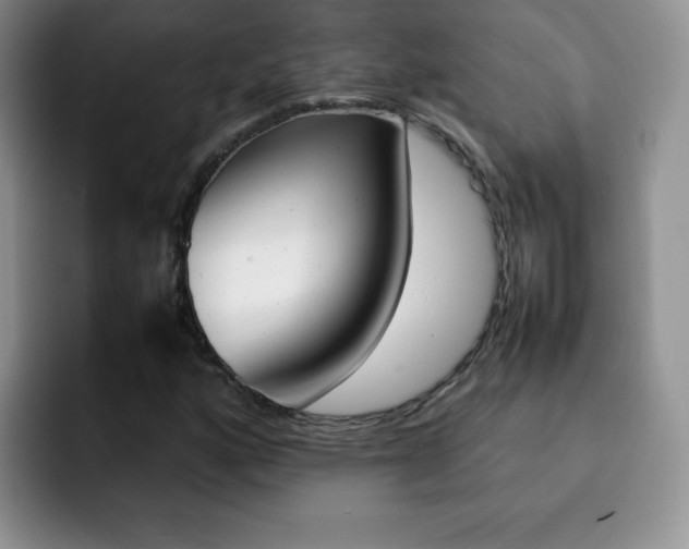 X0000092271160200709140859