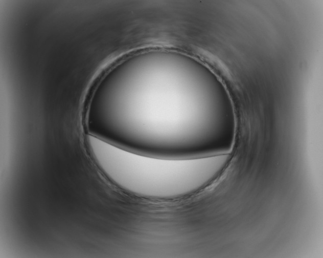 X0000092271168200709140859