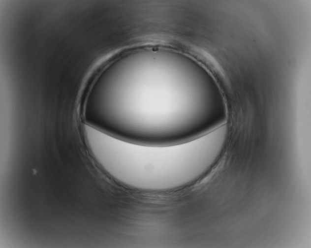 X0000092271172200709140859