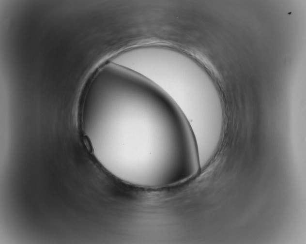 X0000092271173200709140859