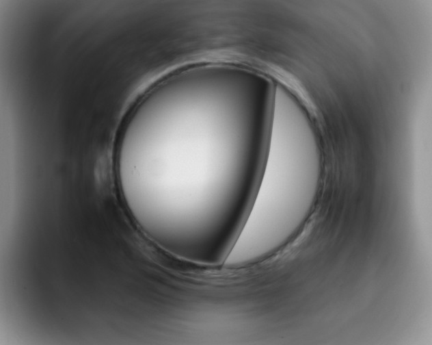 X0000092271176200709140859
