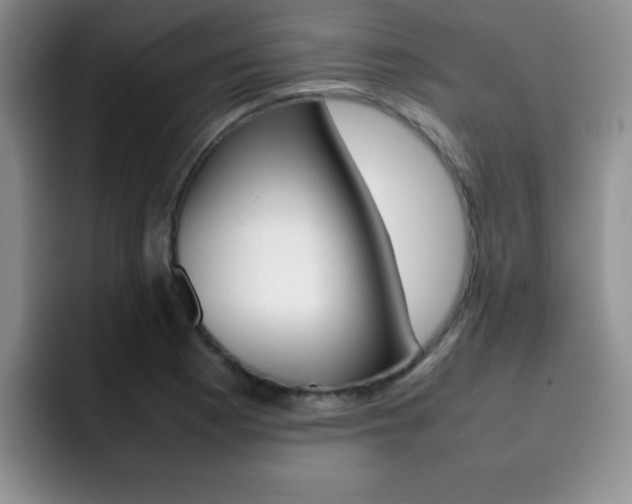 X0000092271177200709140859