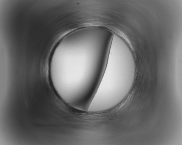 X0000092271179200709140859