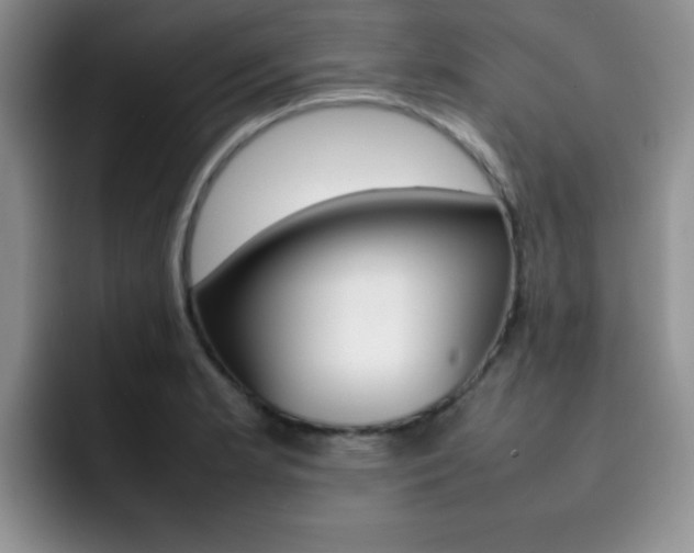 X0000092271181200709140859