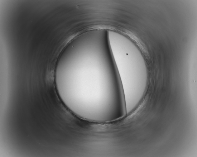 X0000092271185200709140859