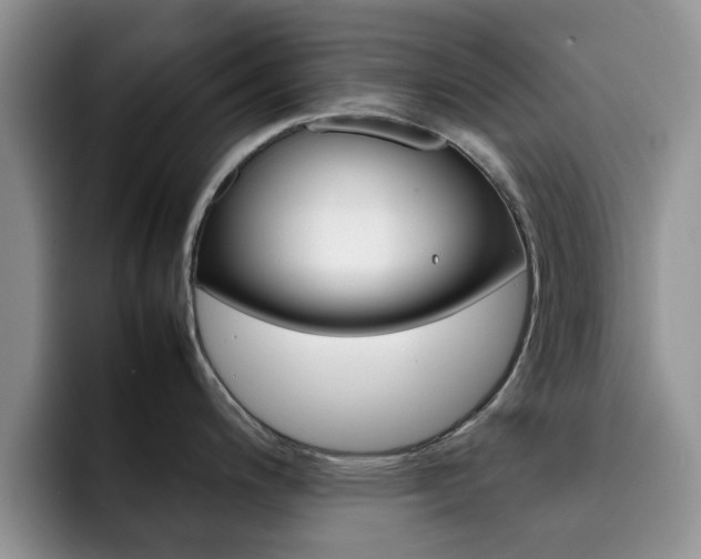 X0000092271200200709140859