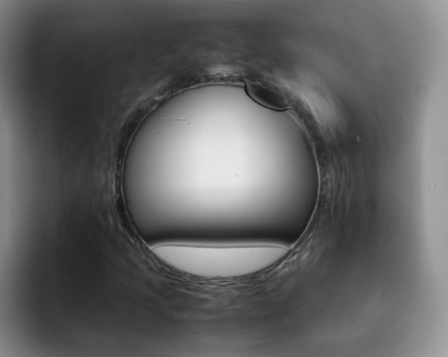 X0000092271205200709140858