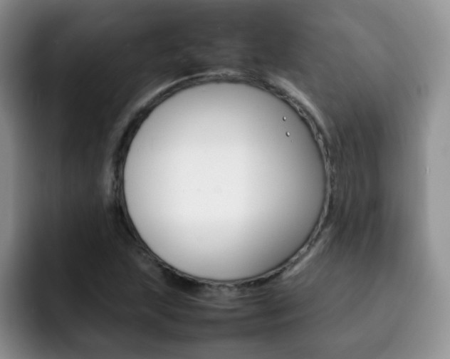 X0000092271215200709140858