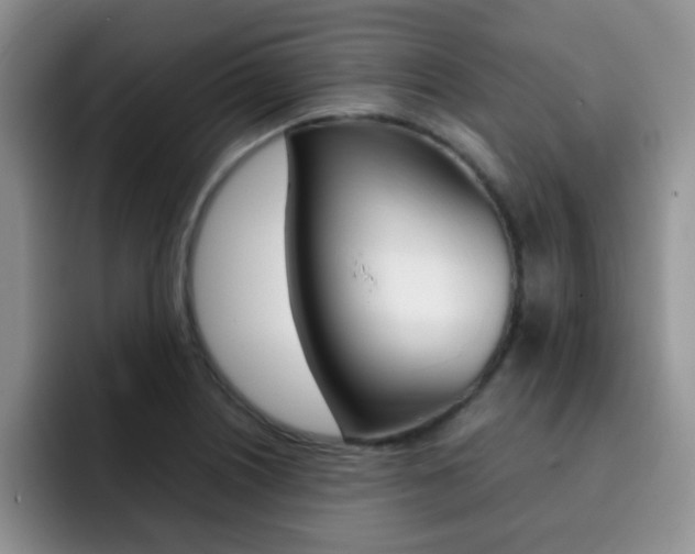 X0000092271226200709140858