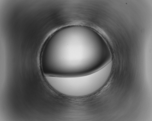 X0000092271230200709140858