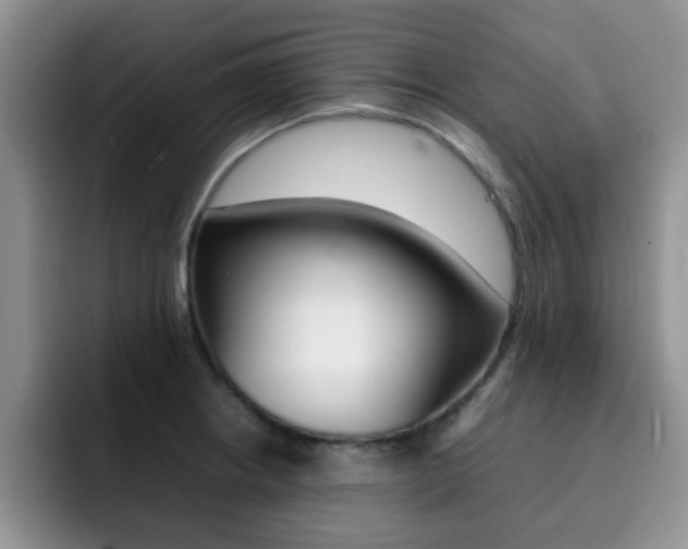 X0000092271234200709140858