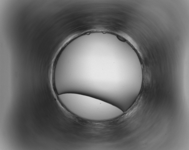 X0000092271245200709140859