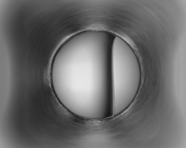 X0000092271248200709140859