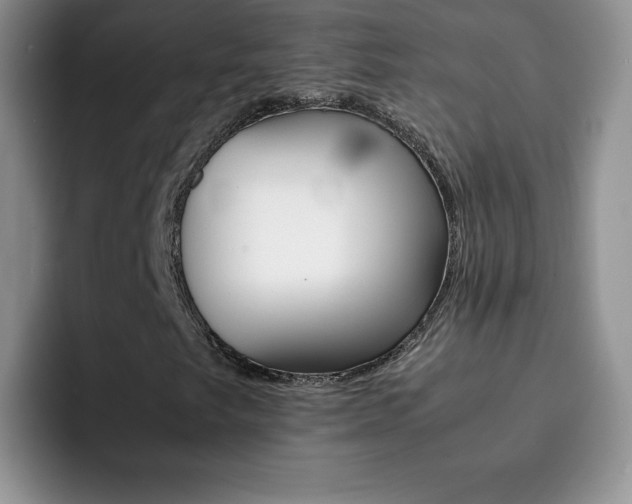 X0000092271249200709140858
