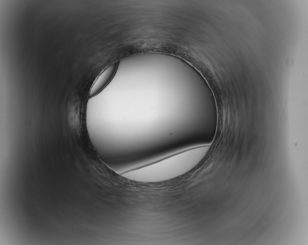 X0000092271250200709140858