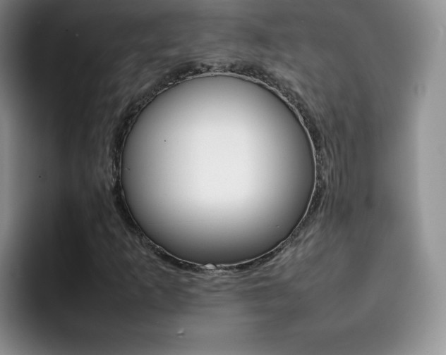 X0000092271253200709140858