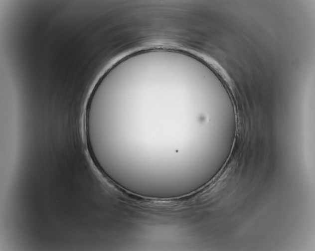 X0000092271295200709140857