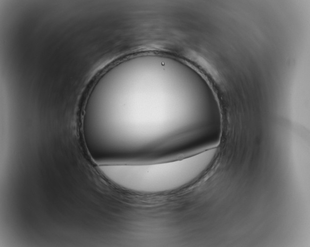 X0000092271308200709140857