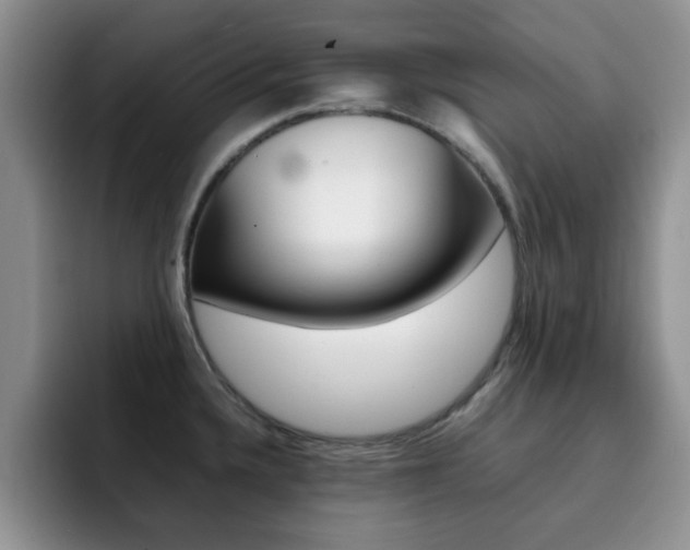 X0000092271336200709140857