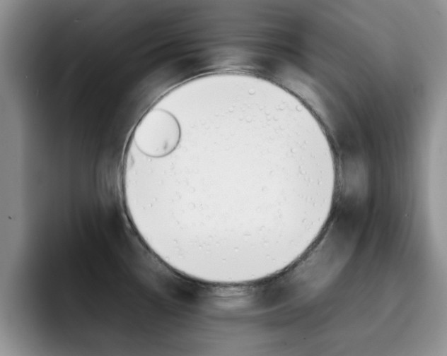X0000092271338200709140857