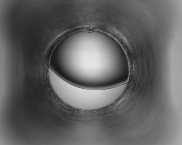 X0000092271352200709140857
