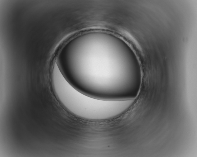 X0000092271360200709140857