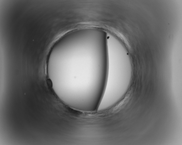 X0000092271365200709140857