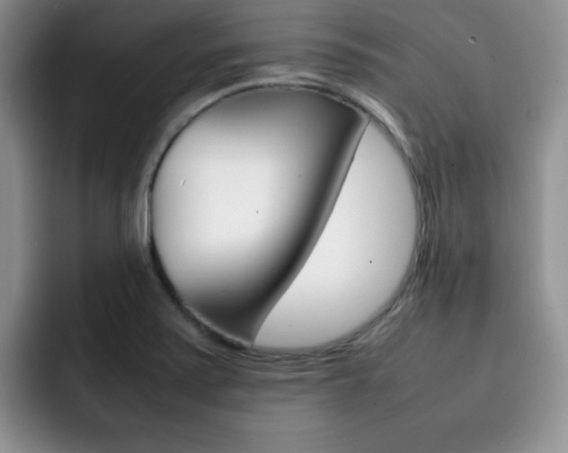 X0000092271371200709140857
