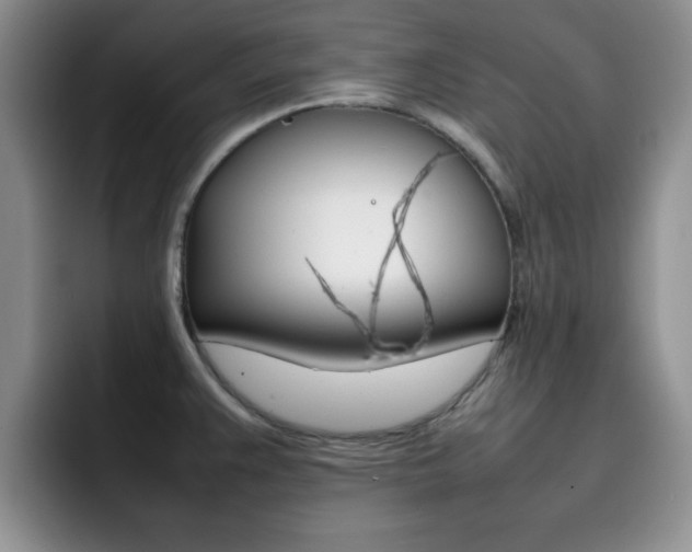 X0000092271383200709140856