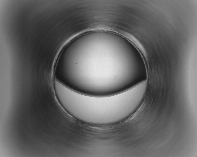 X0000092271388200709140856