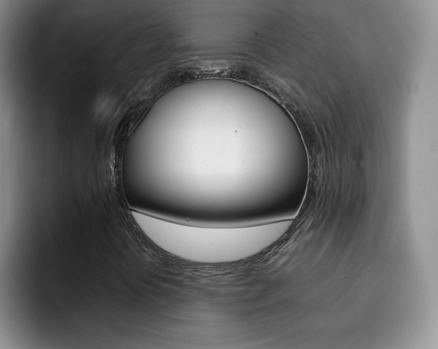 X0000092271394200709140856