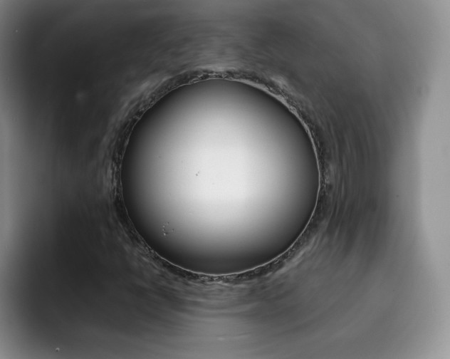 X0000092271398200709140856