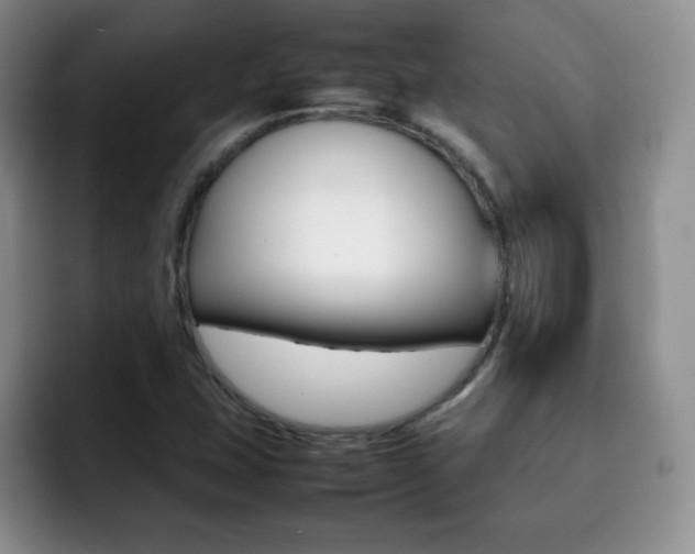 X0000092271407200709140856