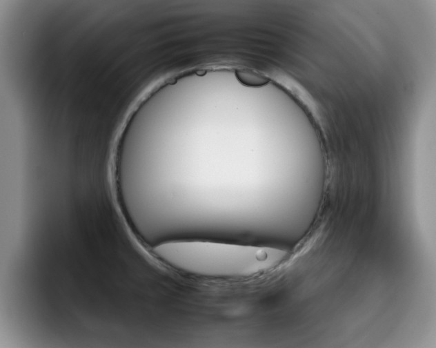 X0000092271429200709140856