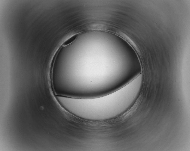 X0000092271434200709140856