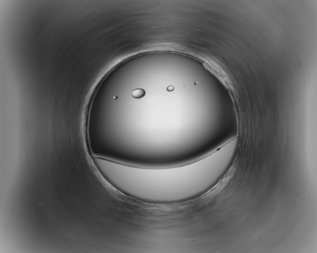 X0000092271438200709140856