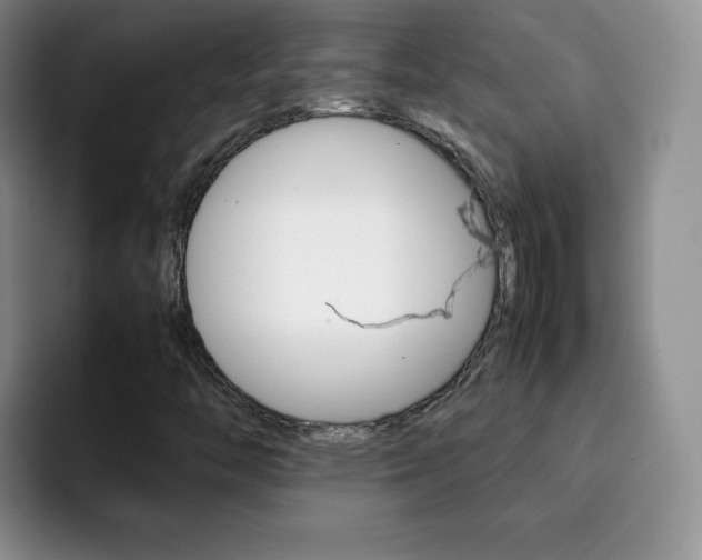 X0000092271446200709140856