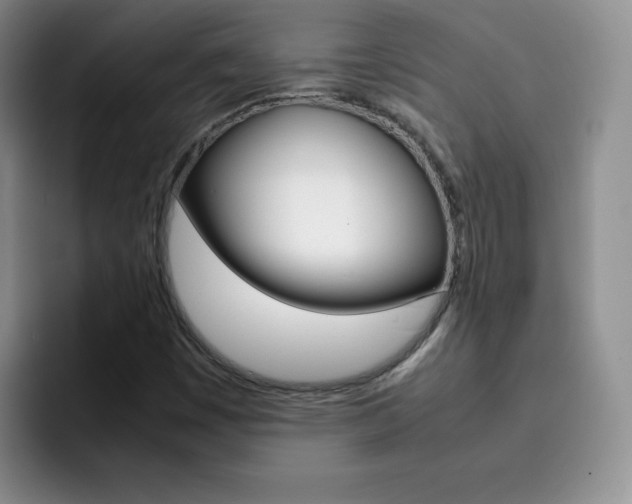 X0000092271449200709140856