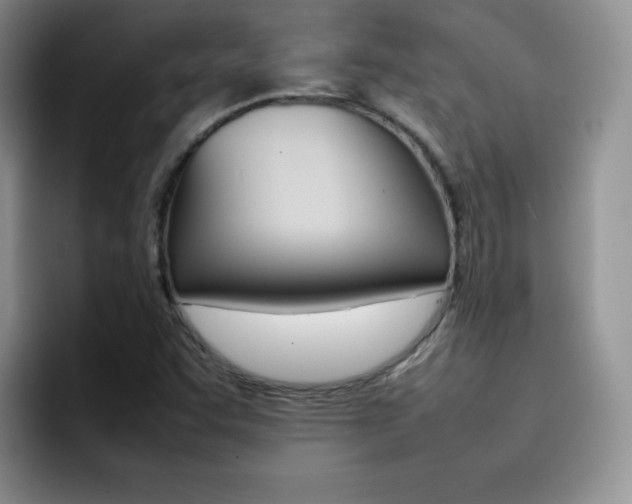 X0000092271455200709140856
