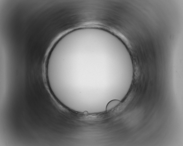 X0000092271470200709140855