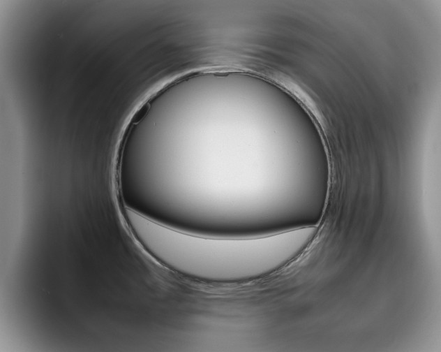 X0000092271485200709140855