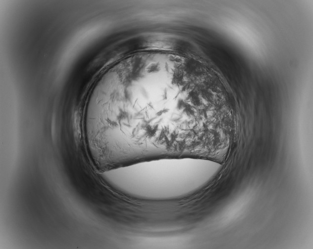 X0000092271487200709140855
