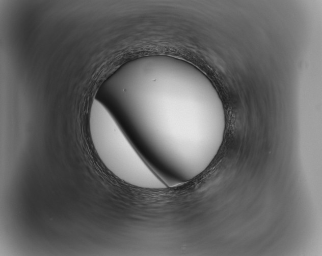 X0000092271489200709140855